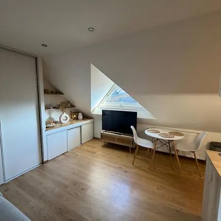 Plein Centre Apartman *